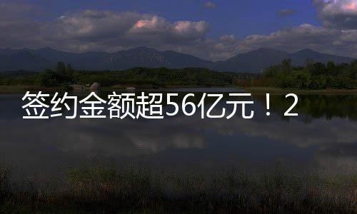 签约金额超56亿元！2024粤港澳大湾区文化产业投资大会闭幕