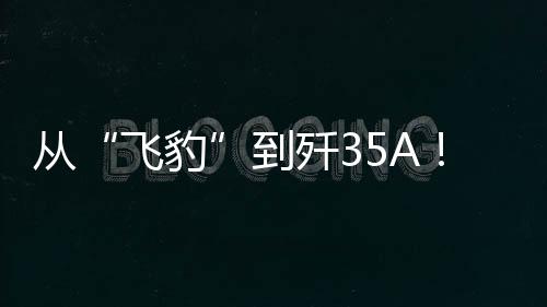 从“飞豹”到歼35A！15届航展见证75岁空军成长